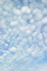 空一面の羊雲